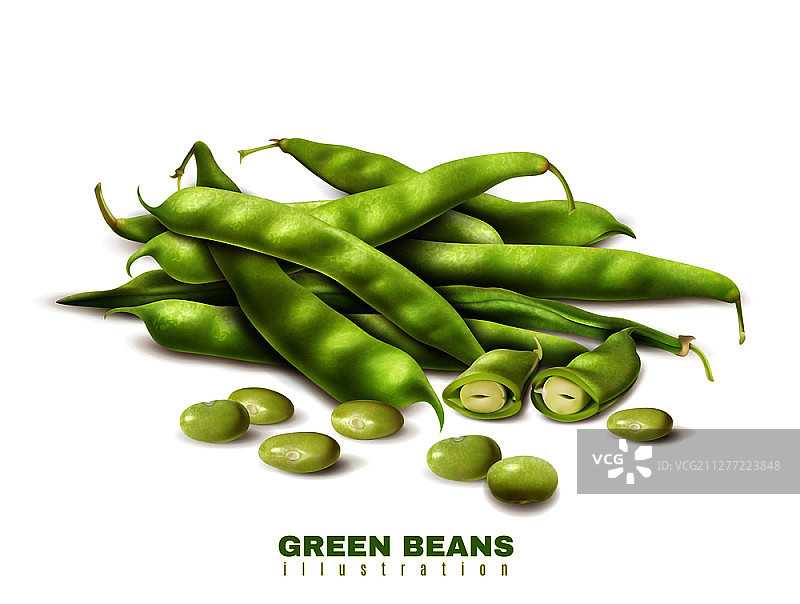 新鲜的绿色有机豆角切段和完整豆荚特写：健康食品广告矢量插图。逼真的绿色豆角图像图片素材
