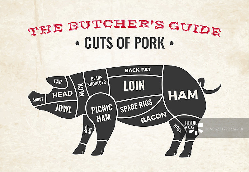 猪肉切割示意图矢量插画图片素材