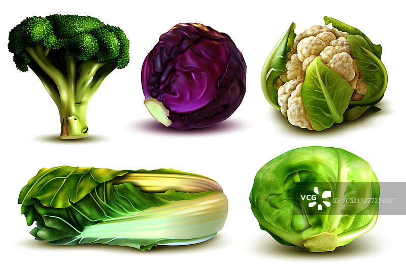 一套逼真的新鲜白菜花椰菜中国叶菜花孤立矢量图图片素材