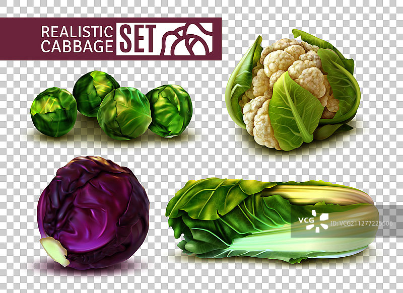 逼真的球芽甘蓝、中国白菜、花椰菜透明背景矢量图图片素材