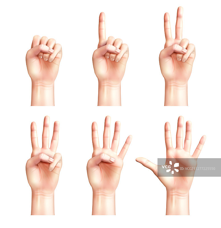 从零到五的手指计数手势矢量图图片素材