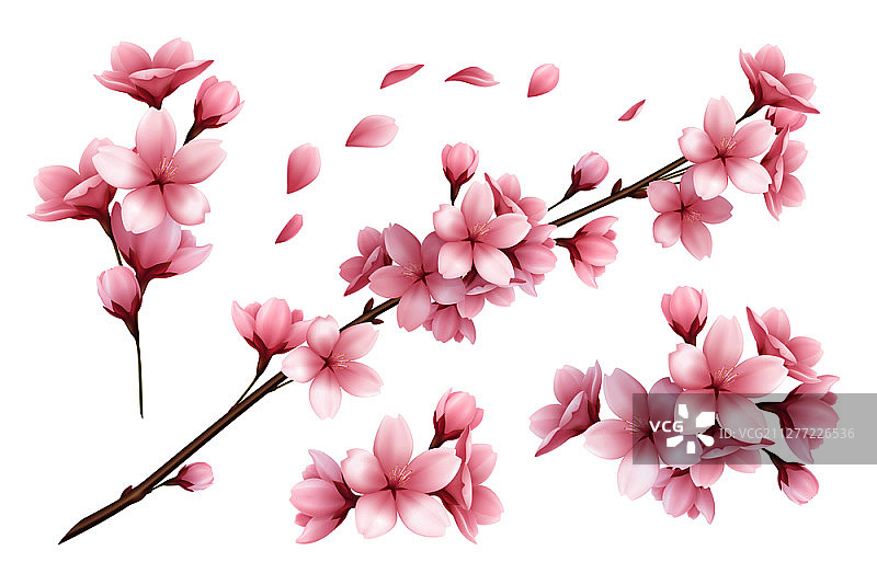 逼真唯美樱花枝条花瓣白色背景矢量素材图片素材