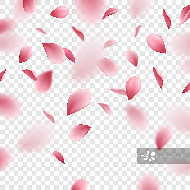 透明背景上掉落的粉色樱花花瓣逼真矢量图图片素材