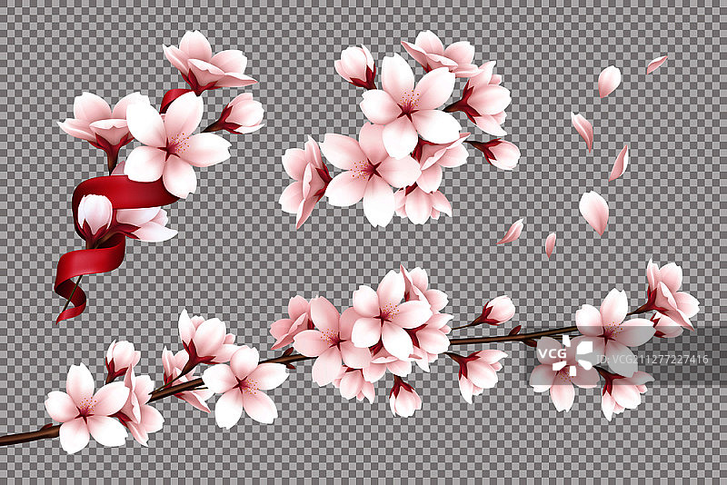 逼真盛开的樱花花瓣透明背景矢量素材图片素材