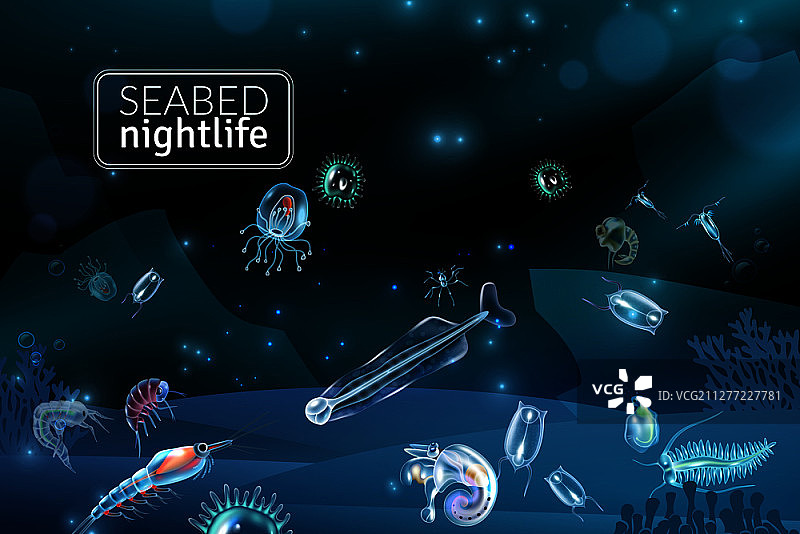 海底夜生活：珊瑚海藻浮游生物卡通矢量图图片素材