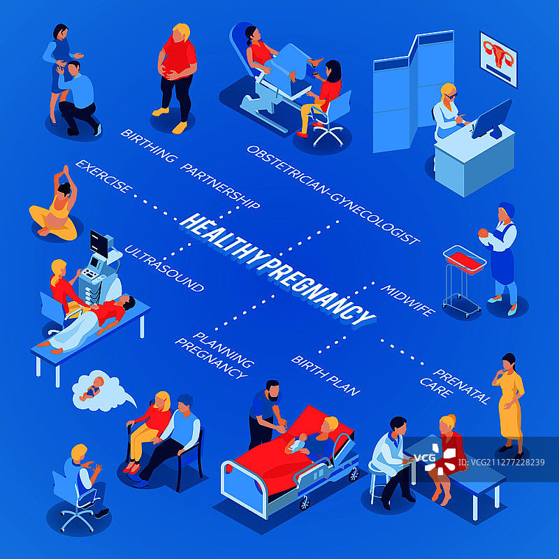 具有生育计划符号的妇科和妊娠流程图2.5D矢量图图片素材