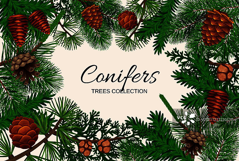 松果边框构图与杉树针叶矢量素材图片素材
