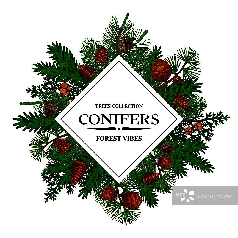 森林针叶树和松果扁平风矢量插画松树框架图片素材