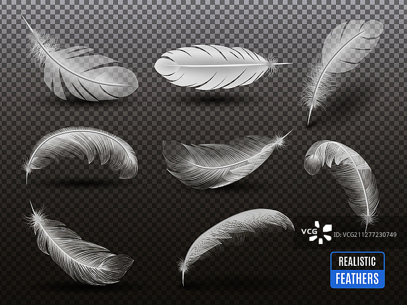 透明背景上的单色羽毛阴影图片素材