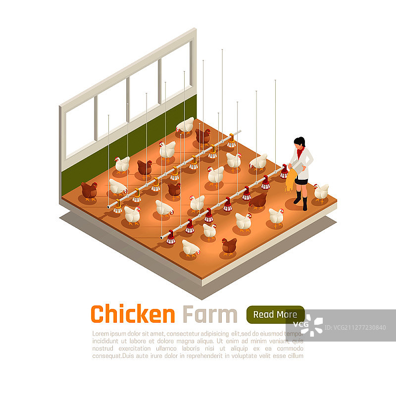 具有自动化浇水喂养和鸡蛋收集系统的现代养鸡场等距元素矢量图图片素材