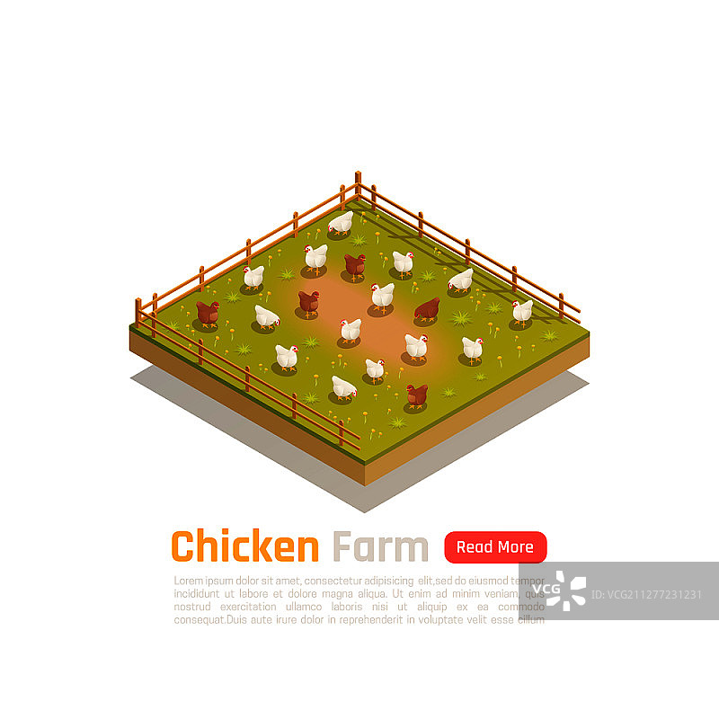 有机散养家禽农场2.5D示意图，草饲鸡在围栏牧场中图片素材