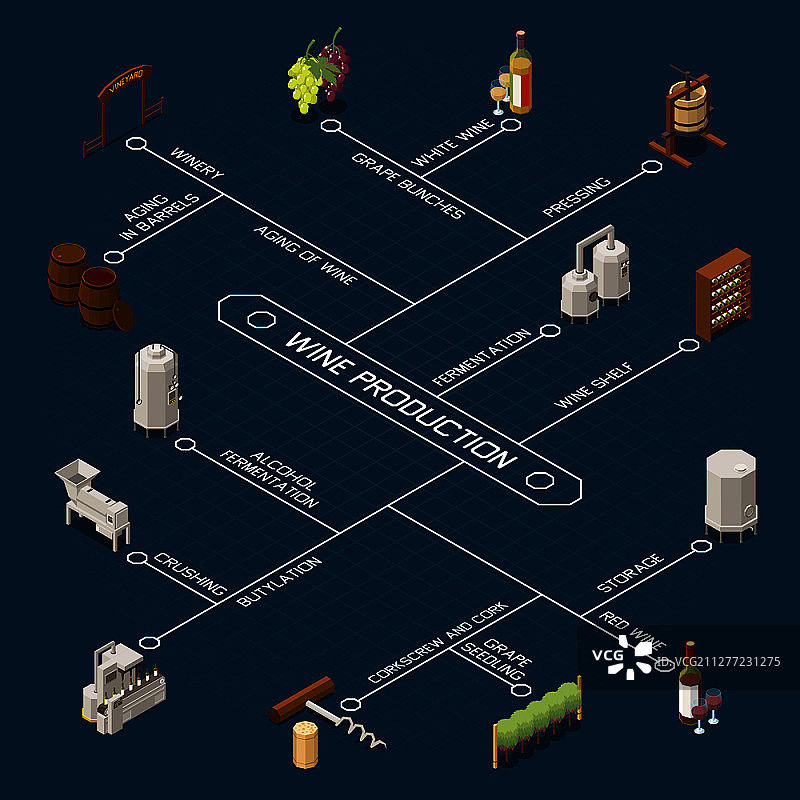 2.5D葡萄酒生产和储存设备流程图3D矢量图图片素材