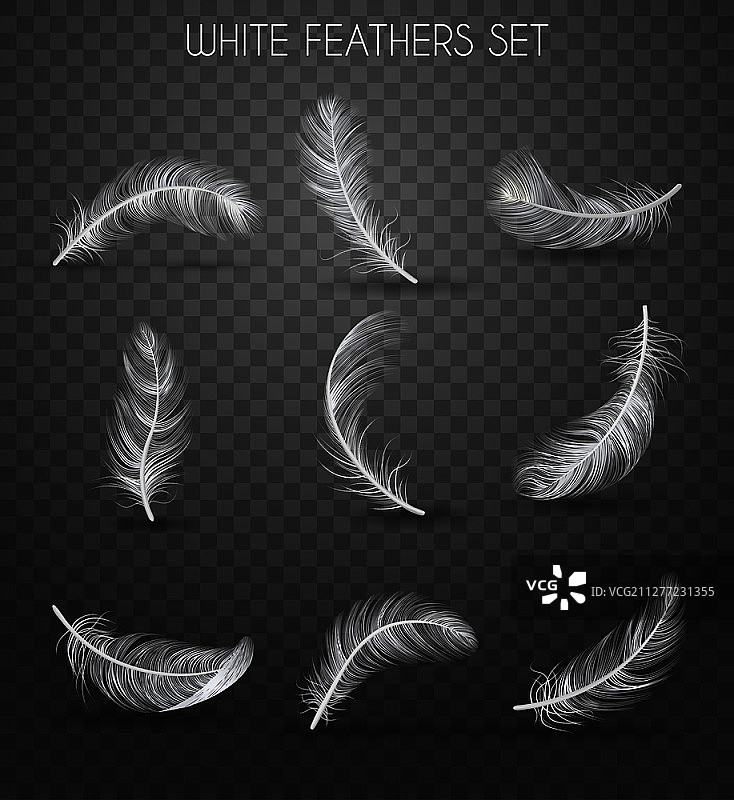 逼真白色羽毛透明素材图片素材