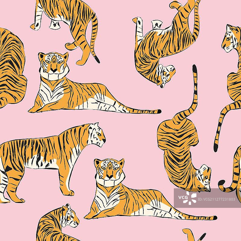 手绘老虎无缝图案，不同姿势的大猫，粉红色背景，扁平矢量图图片素材