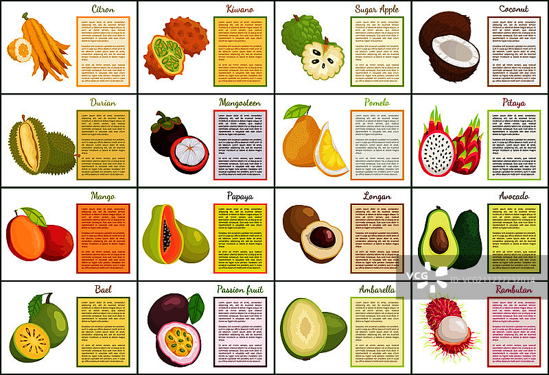 香橼角瓜椰子和番荔枝热带水果海报套装，含文本示例。牛油果和芒果、红毛丹和百香果、山竹水果矢量插画。图片素材