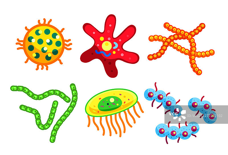 链球菌和葡萄球菌、螺旋菌和星形扁平细菌类型分离。用于说明性海报的微小危险细菌卡通矢量插图图片素材