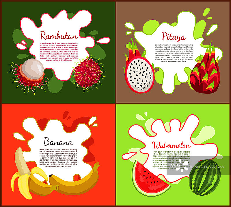 红毛丹和火龙果海报矢量图图片素材