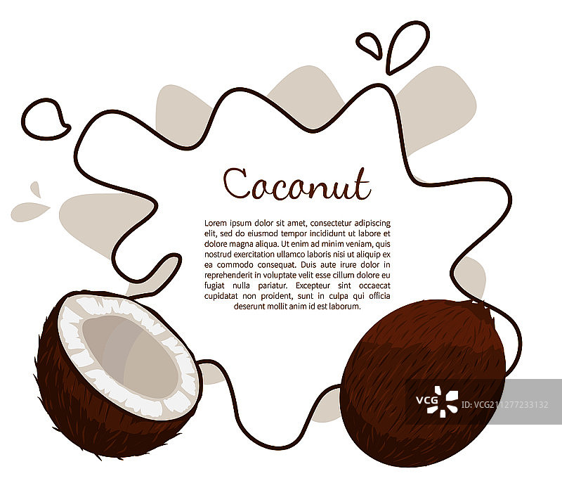 异国情调椰子水果矢量海报框架和文本位置图片素材