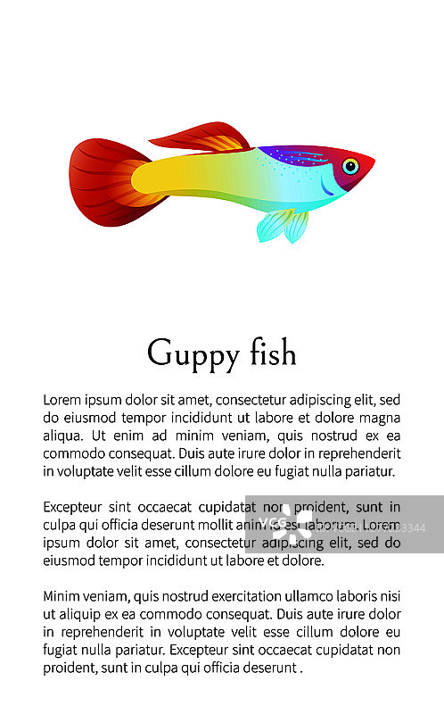 水族馆孔雀鱼海报（附文本示例）图片素材