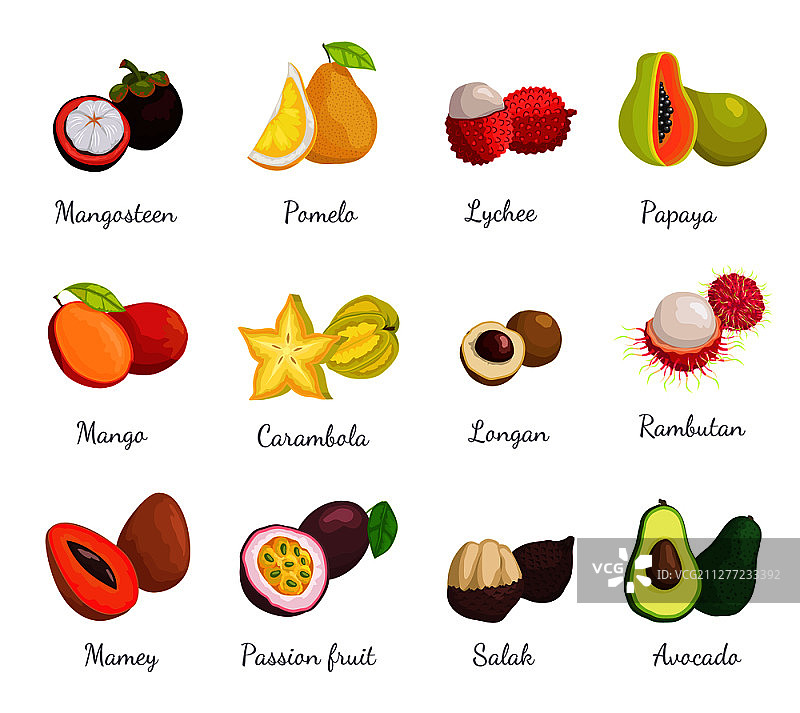 山竹柚子异国热带水果矢量图：火龙果、杨桃、沙叻、番木瓜、百香果荔枝、鳄梨、红毛丹和木瓜水果图片素材