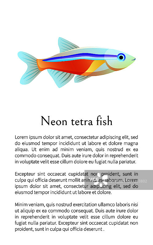 白色隔离的霓虹灯四面鱼。淡水水族馆宠物剪影手绘图形图标在空白背景卡通风格矢量插图。白色隔离的霓虹灯四面鱼水族馆鱼图形图片素材