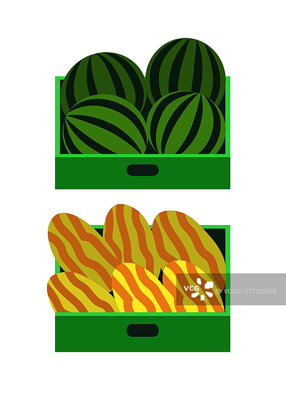 售卖盒中的甜瓜和西瓜夏季水果图片素材