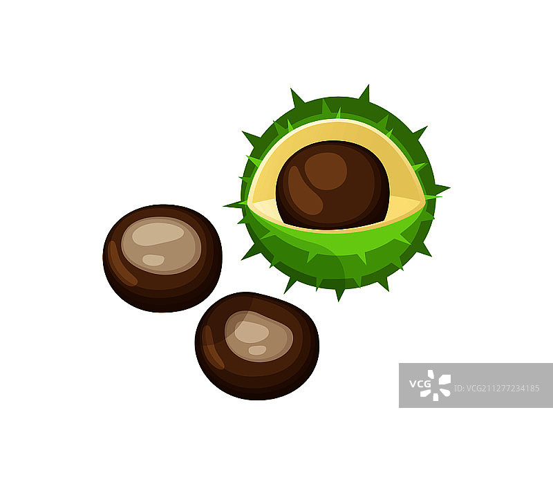 栗子仁和栗子皮集合矢量图标图片素材