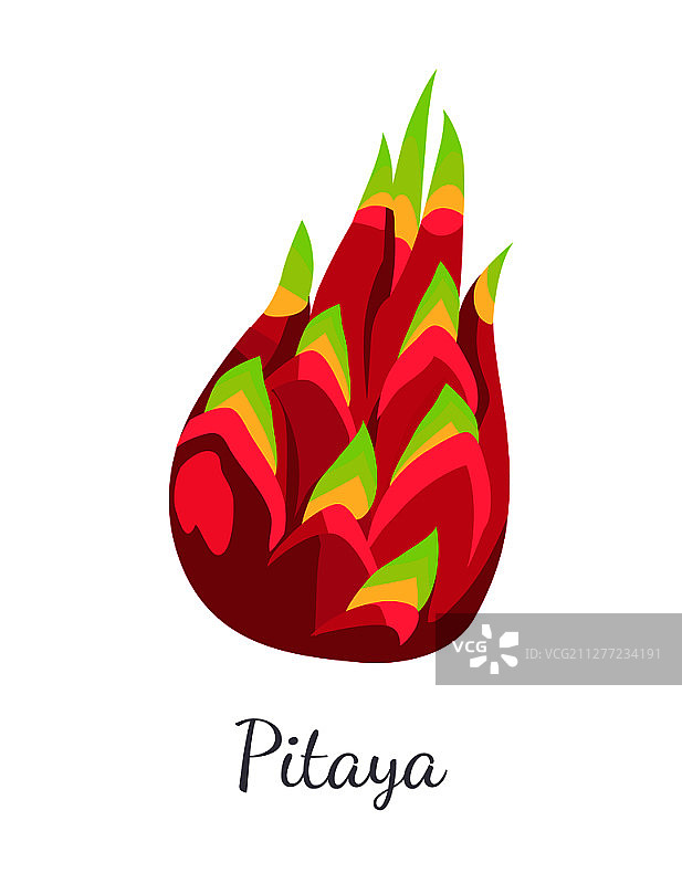 火龙果矢量图图片素材