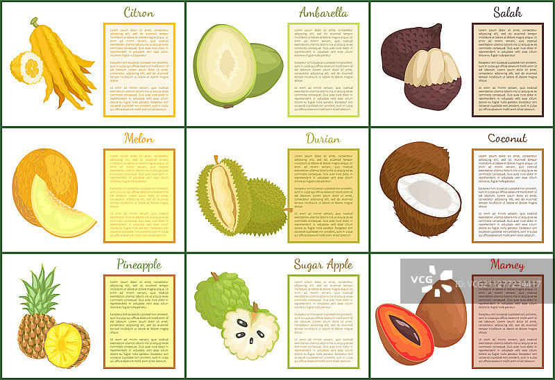 香橼和蛇皮果海报矢量素材：热带水果文本图片素材