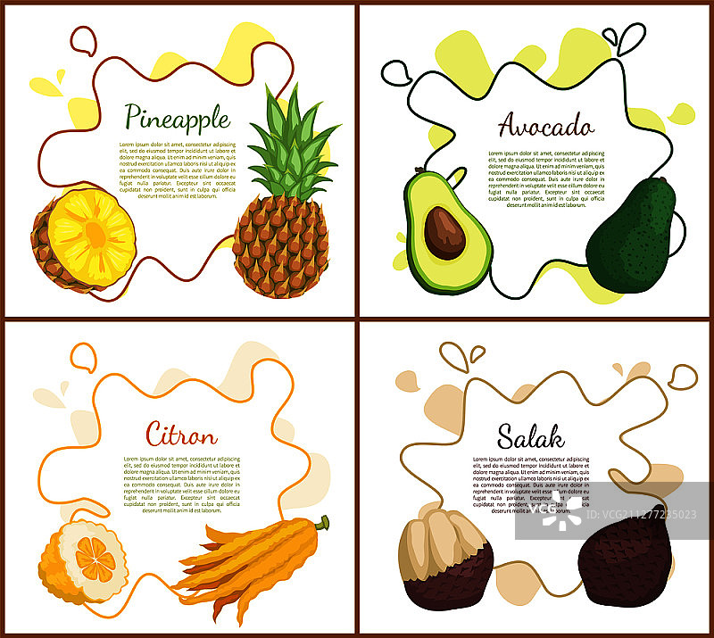 菠萝牛油果柠檬和沙叻海报套装，含文字和热带水果，健康素食产品。异国情调的健康生活方式矢量图。图片素材