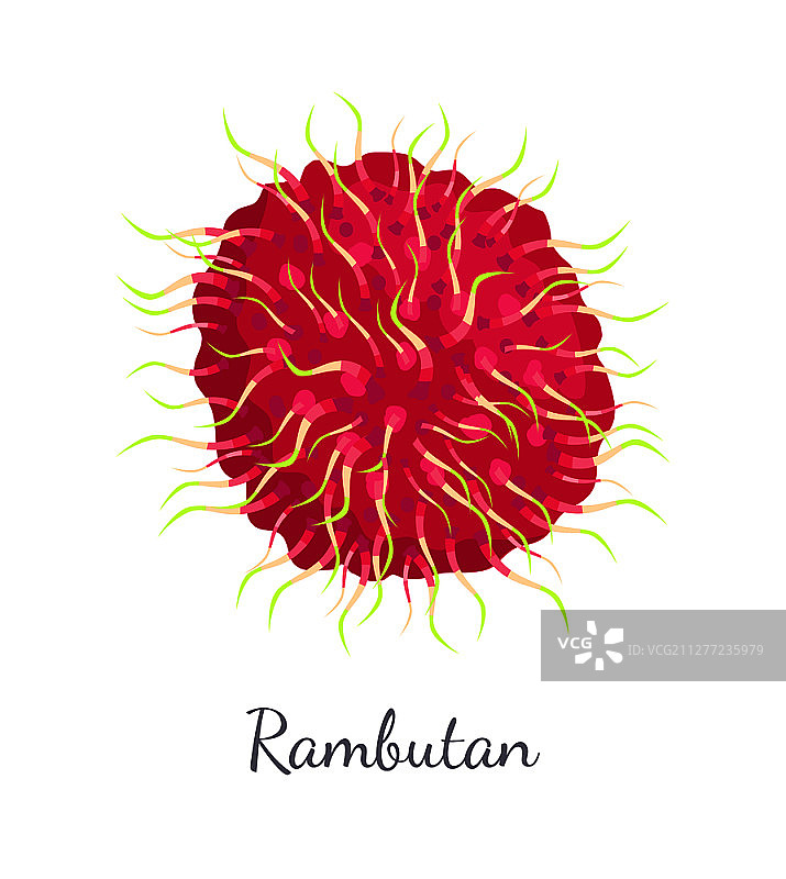 红毛丹异国多汁水果矢量隔离图标图片素材
