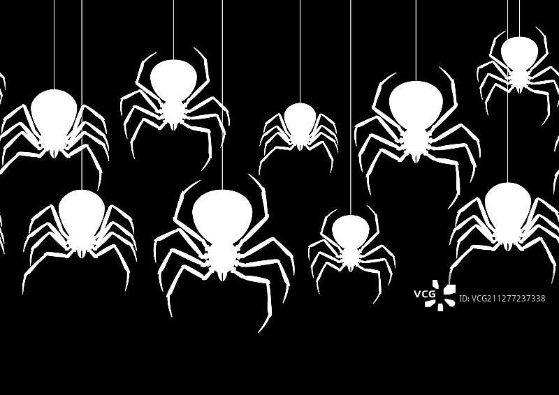 黑寡妇蜘蛛万圣节背景无缝图案图片素材