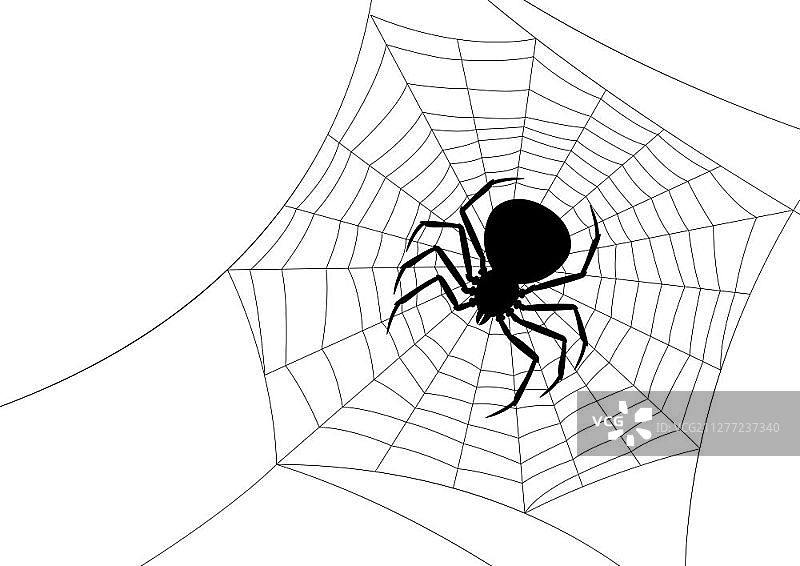 黑寡妇蜘蛛万圣节banner背景图片素材