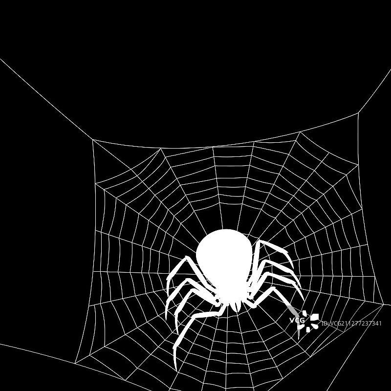 黑寡妇蜘蛛万圣节banner背景图片素材