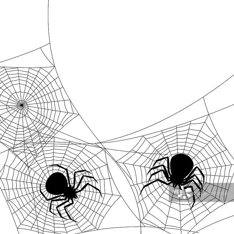 万圣节黑寡妇蜘蛛banner背景图片素材