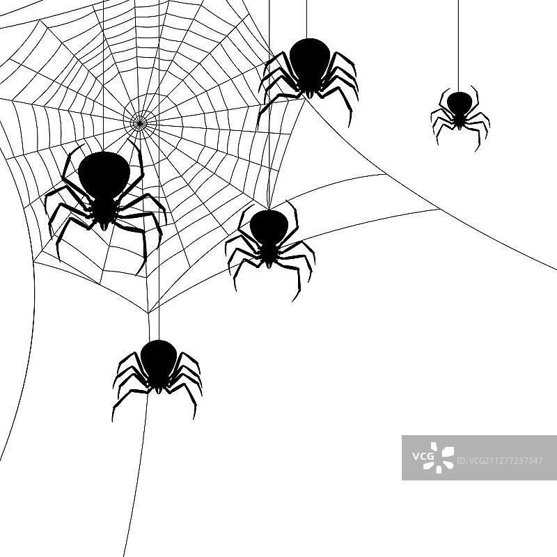 万圣节黑寡妇蜘蛛banner背景图片素材