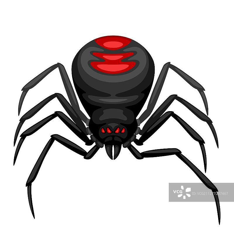 黑寡妇蜘蛛图标：万圣节插画图片素材