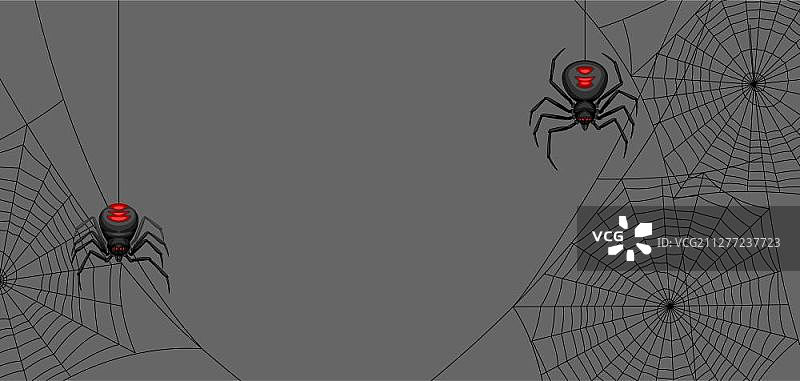 万圣节黑寡妇蜘蛛banner背景图片素材