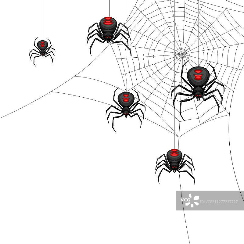 万圣节黑寡妇蜘蛛banner背景图片素材