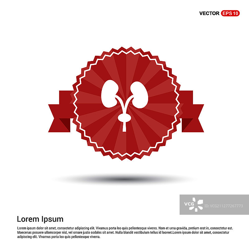 人体肾脏图标 - 红丝带banner图片素材