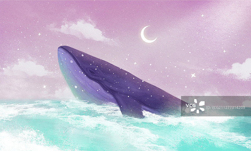 湛蓝的大海里潜出水面的大鲸鱼横图图片素材