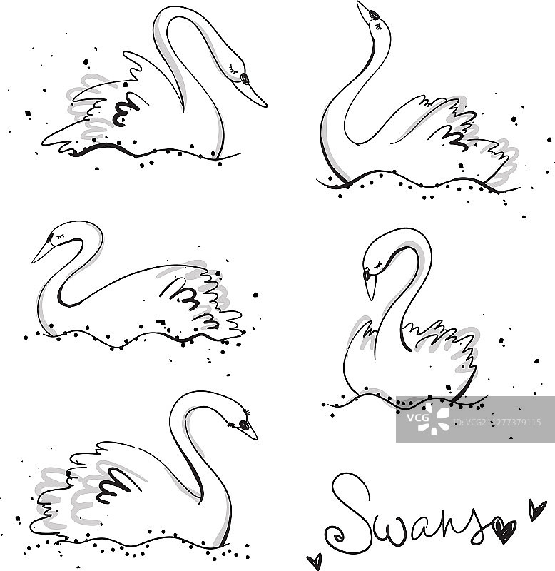 手绘天鹅线条艺术图片素材