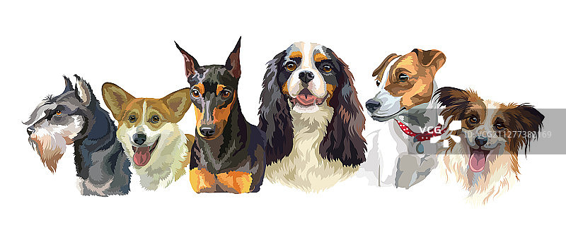 小型犬品种图片素材