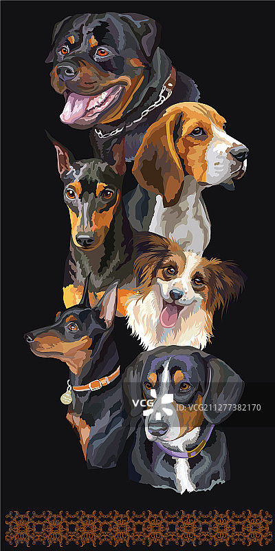 各种品种的狗明信片11图片素材