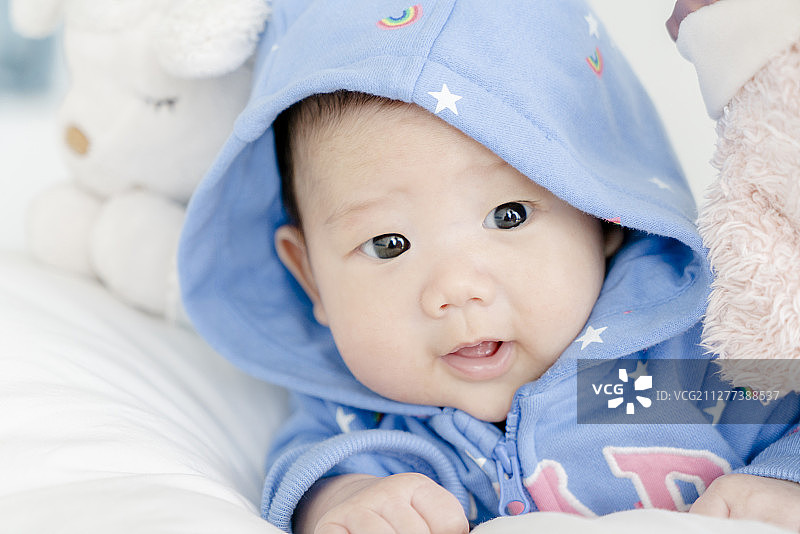 喜欢布绒玩偶的萌宝宝特写图片素材