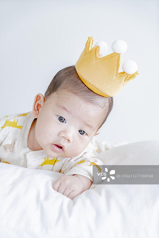 王冠宝宝与玩偶图片素材