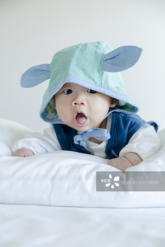 蓝色的婴儿猪宝宝的萌表情图片素材