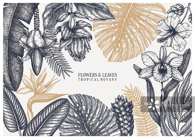 背景上的热带天堂标签图片素材