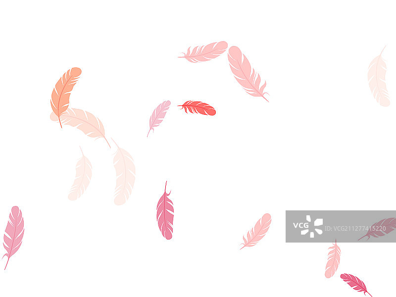 白色设计上的华丽羽毛细节图片素材