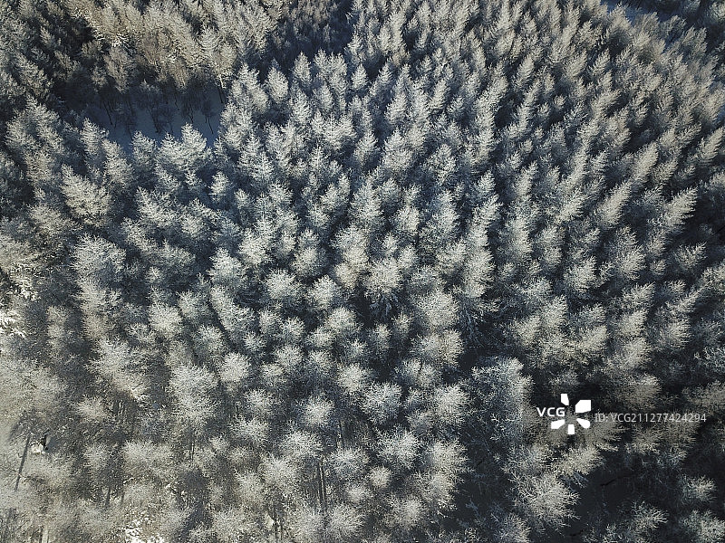 航拍张家口市崇礼县万龙滑雪场冬季雪景图片素材
